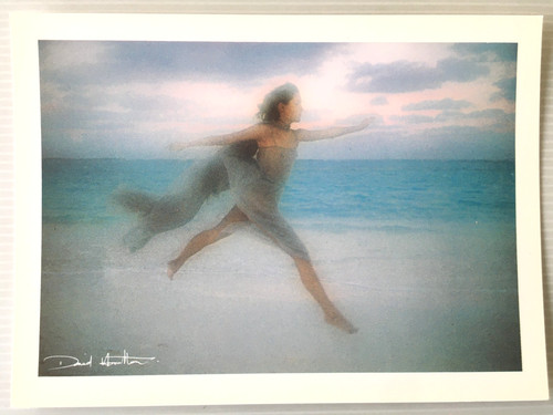 Carte postale david hamilton - david,