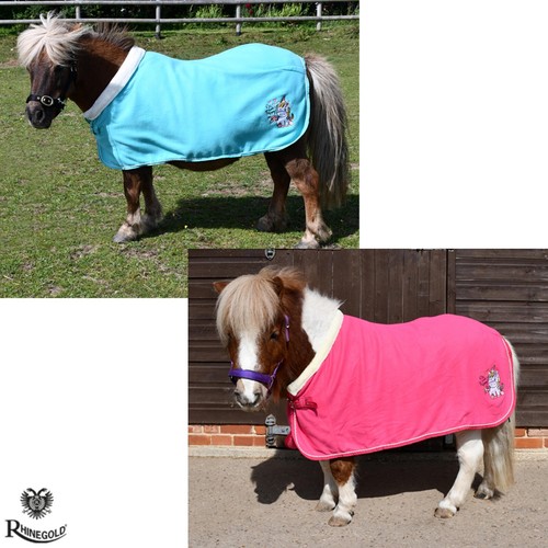 Mini pony shetland - pony,