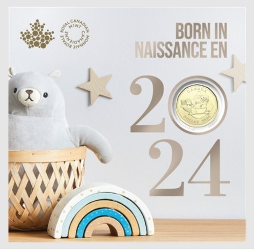Canada baby born 2024 5 - baby,
