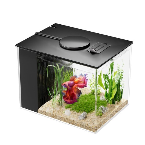 Vehipa mini acquario completo - vehipa,