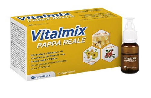 Vitalmix pappa reale - vitalmix,