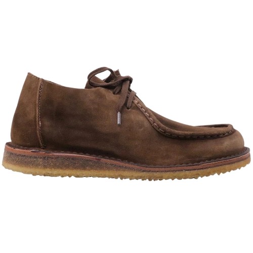 Astorflex beeneflex 419 - beeneflex,