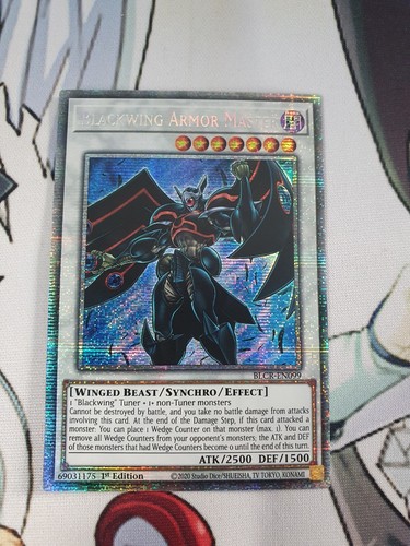 Blackwing armor master - blackwing,