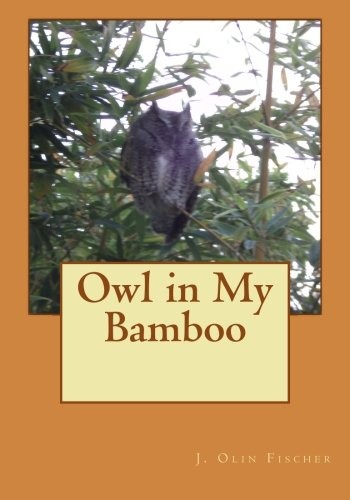 Owl my bamboo by - owl, fischer