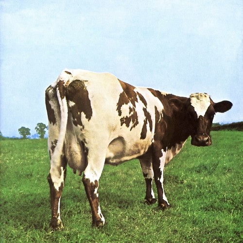 Pink floyd atom heart - floyd,