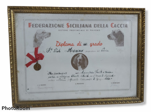 11484 cs11 fed siciliana - 11484,