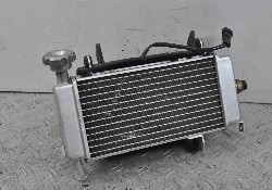 53559 radiatore - 53559,