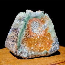 Vaso piatto Shigaraki dell'artista Imura Kosei | Ceramica giapponese autentica a legna