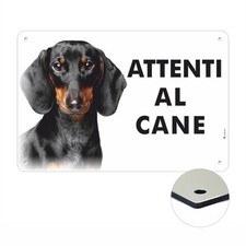 BASSOTTO ATTENTI AL CANE |