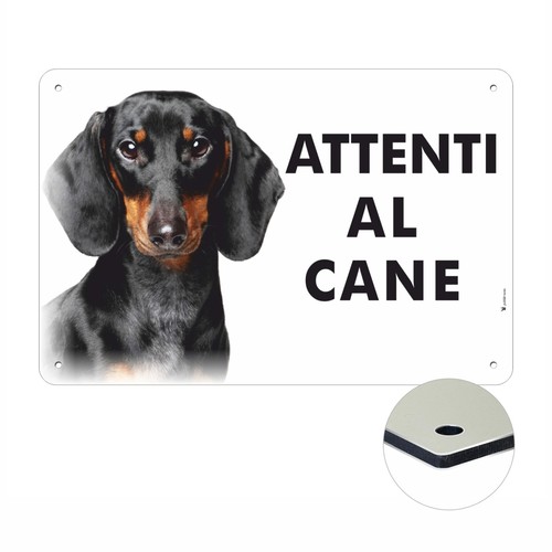 Bassotto attenti cane - bassotto, al