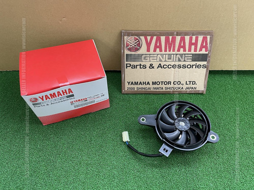 Motore ventola radiatore