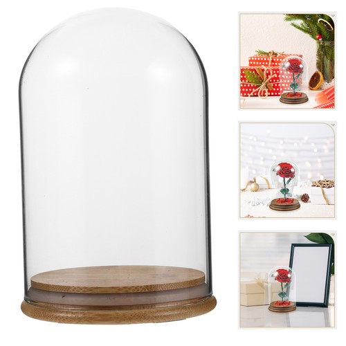 Cloche vetro con - cloche,