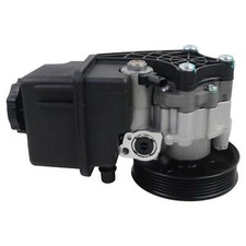 Pompa del Servosterzo per