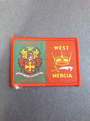 Scout badge district double - uk,