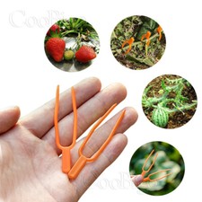 Fissaggio stelo piante