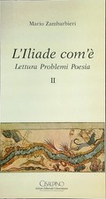 L'ILIADE COM'E'. LETTURA