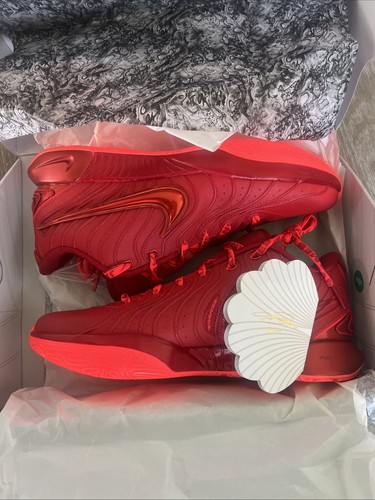 Nike lebron xxi - james, gang