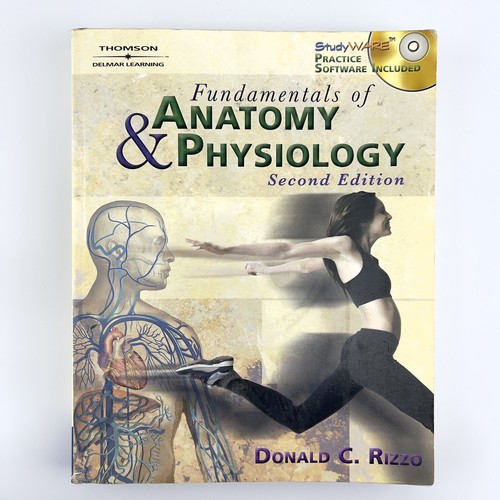 Fundamentals anatomy and - fundamentals, of