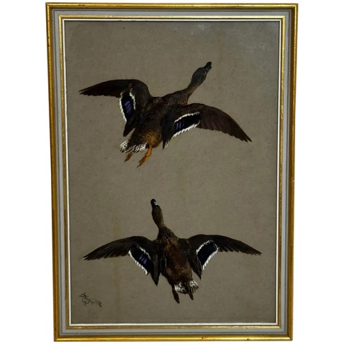 Dipinto vittoriano uccelli - vittoriano,