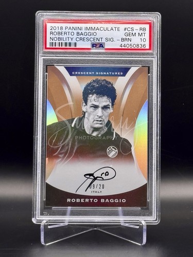 2018 panini immacolata - 2018,