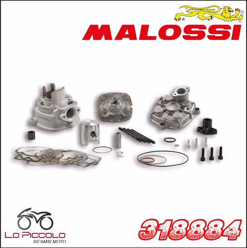 318884 malossi gruppo termico - 318884,