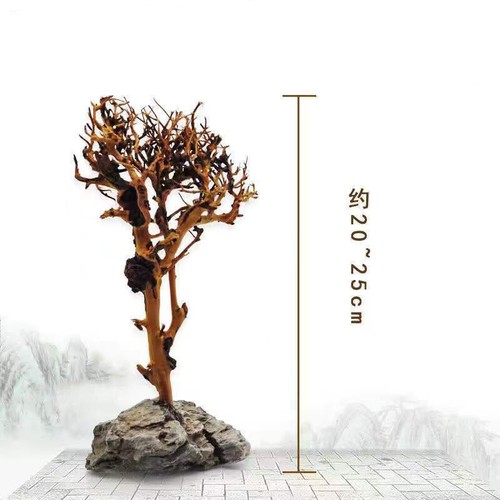 Driftwood albero acquario - driftwood,