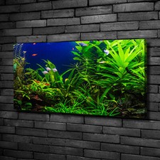 Tulup Dipinto Su Tela Pittura