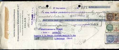 Bois nord d amérique - nord, &