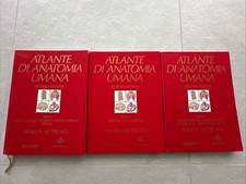Atlante anatomia umana - di,