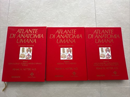 Atlante anatomia umana - di,