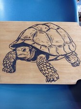 Targa Quadro Pirografia Tartaruga
