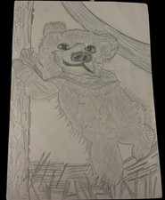 Disegno di un orso bambino
