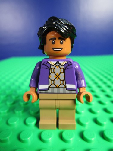 Lego ideas 21302 the big - 21302,
