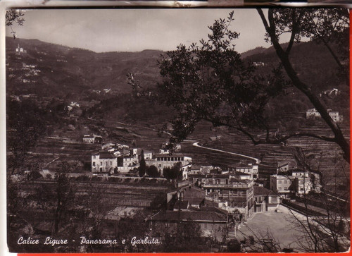 Cartolina calice ligure - cartolina,
