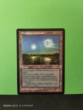 Prateria paludosa / Everglades