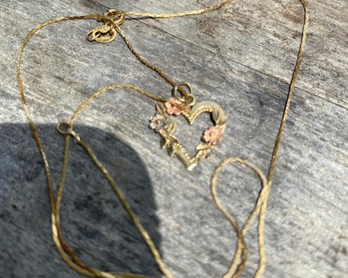Ciondolo cuore 14k con catena