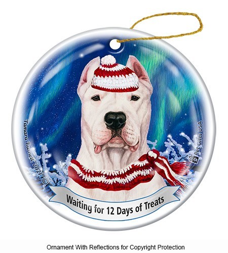 Dogo argentino northern lights - dogo,