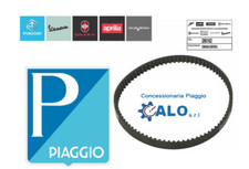 286162 CINGHIA DENTATA