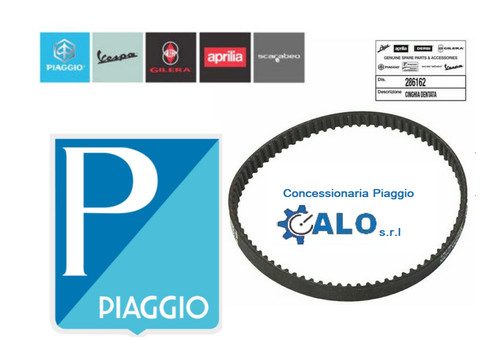 286162 cinghia dentata - cinghia,