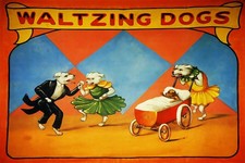 361576 Poster Stampa Freak