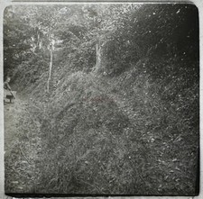 Fotografia Amatoriale