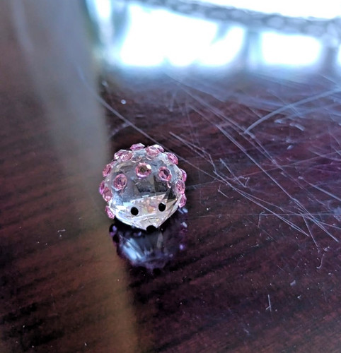 Riccio con aculei rosa - riccio,