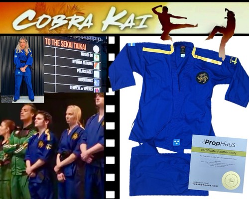 Schermo cobra kai - tv,