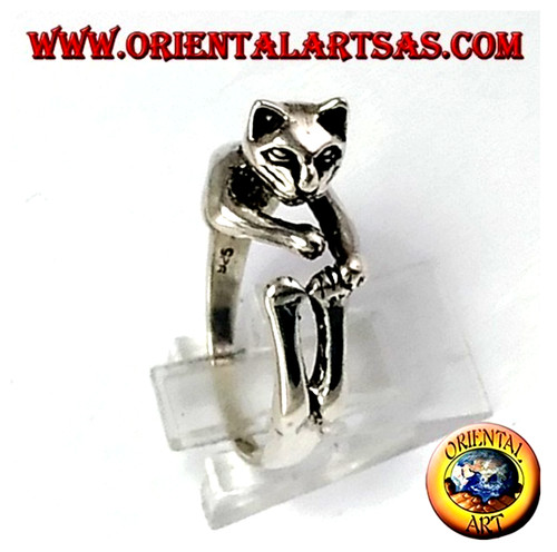 Anello argento solido - in,