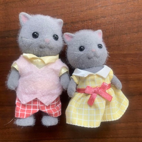 Famiglia gatti persiani - famiglia,