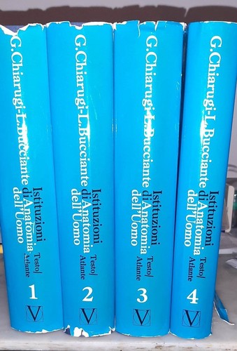 Anatomia dell uomo chiarugi -  anatomia, dell'uomo