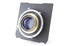 GOLDEN RIM [QUASI NUOVO]