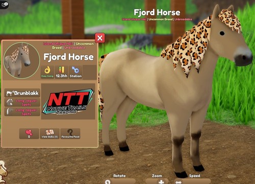 Wild horse islands - horse,