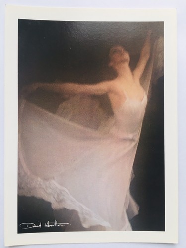 Carte postale david hamilton - ,
