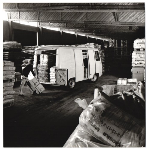 Fotografia auto peugeot - auto, j7